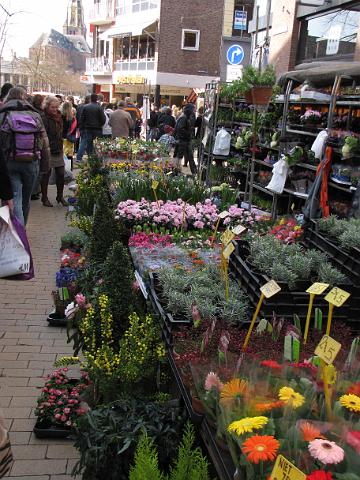 bloemetjesmarkt_druk.jpg - Vele planten en bloemen voor een koopje.
