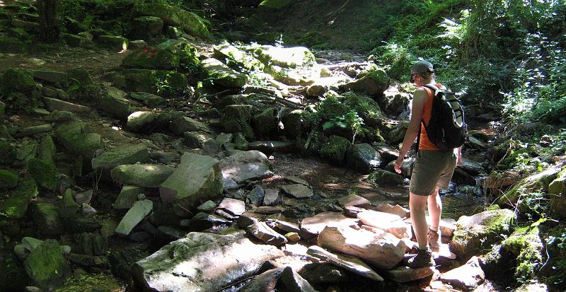 frouwkje_Pyreneeen_wandeling.jpg - Wandeling op de col de saint Ignace. Een stevige wandeling mag ik wel zeggen.Deze foto is trouwens een samenvoeging van 2 foto's.