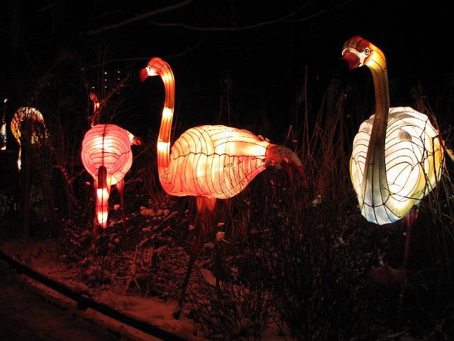 festival_of_lights_flamingo.JPG - Flamingo's.