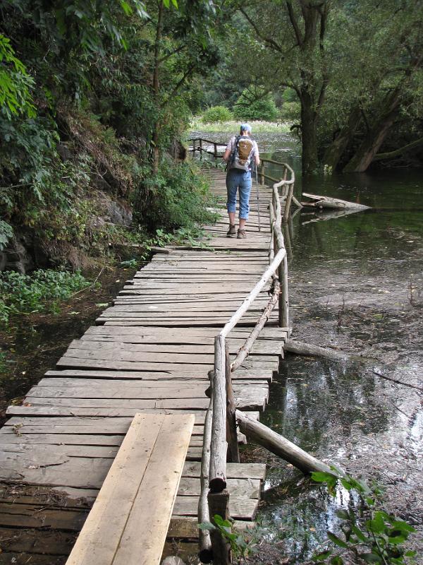 hexenstieg_brug.jpg - Dat was lachen! Een brug (nou ja brug) in de Hexen-stieg. De stevigheid viel erg mee (al zou je dat zo niet zeggen).