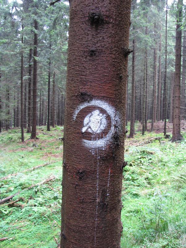 logo_hexenstieg.jpg - Het is zondag als we op pad gaan om dit symbool te volgen op een tocht die ons van west naar oost door de Harz zal voeren. De Hexen-stieg wandelroute is bijna 100 km lang en loopt van Osterode via de Brocken naar Thale. Het symbool stelt een heksje op haar bezem voor.