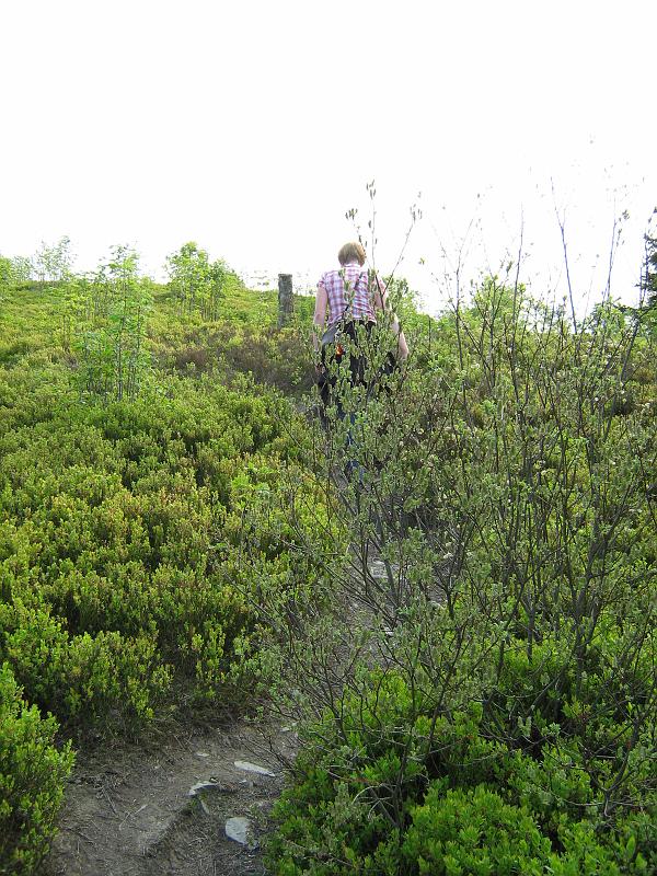 moeilijke_paadjes.jpg - Frouwkje en Tina gaan mijn hardlooprondje wandelen. Naar de top van de Iberg gaat op een paar plaatsen via zulke smalle paadjes.