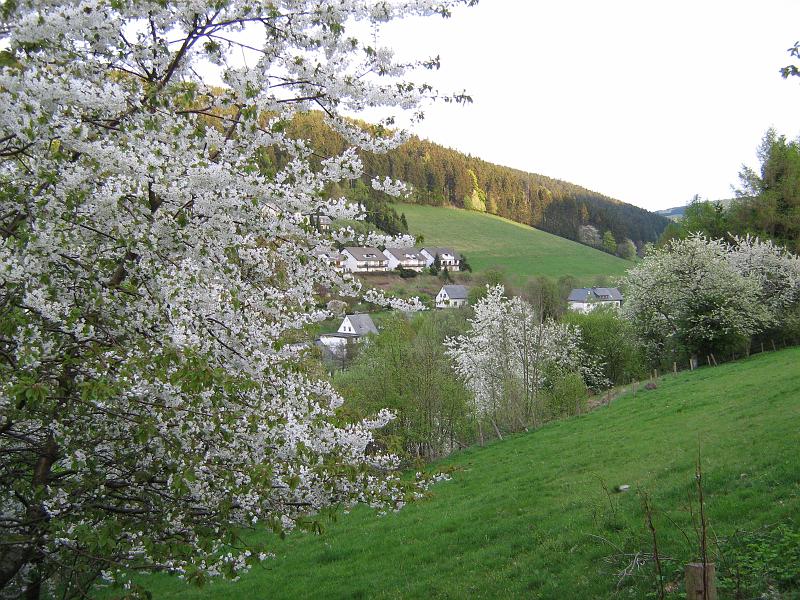 willingen-Schwalefeld.jpg - Overal bloesem, duidelijk voorjaar.