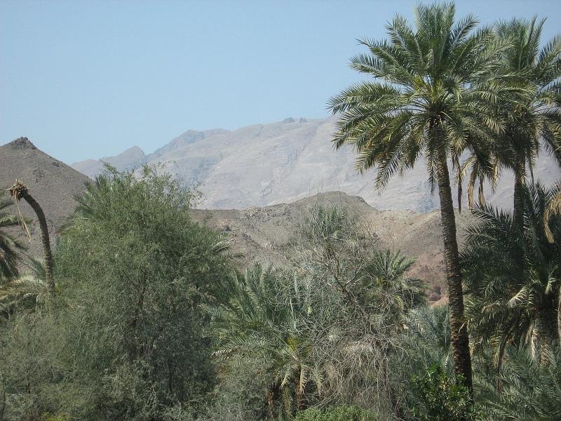 d4_groen_oman2.JPG