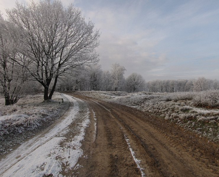 balloerveld_zandweg.jpg - Balloërveld.