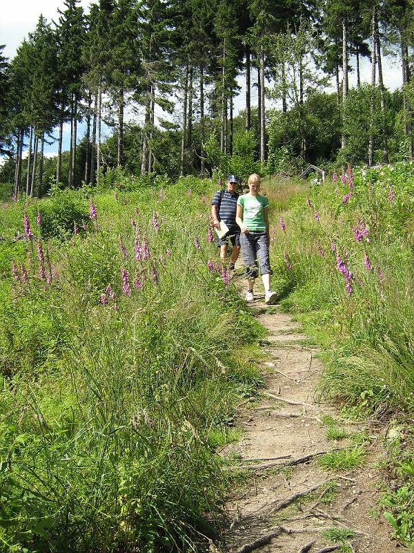 rothaarsteig_wandeling.jpg - Onderweg op de Rothaarsteig.