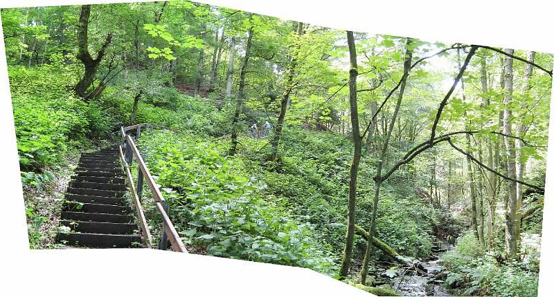 winterberg_helletal_wandeling.jpg - Bergop (maar wel via een trap), in het Helletal. Deze trap is onderdeel van het Schluchten en Bruckenpfad.